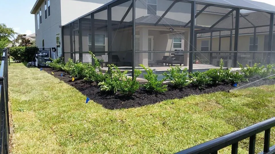 Local landscape design in Saint Augustine, FL by St. Johns Lawn & Landscaping