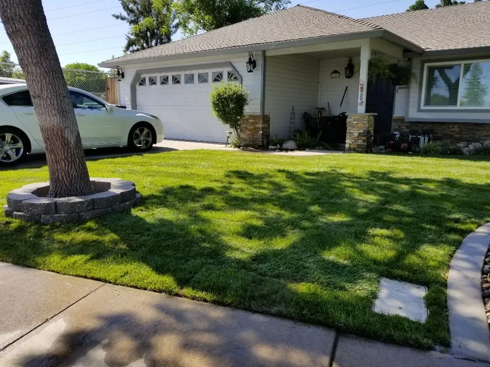 Professional outdoor landscaping with custom design across Delhi, CA - ST Landscape Management