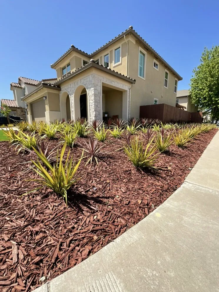 Reliable yard cleanup service for residential properties across Delhi, CA - ST Landscape Management