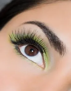 Top-rated landscape installation in Delhi, CA by ST Landscape Management