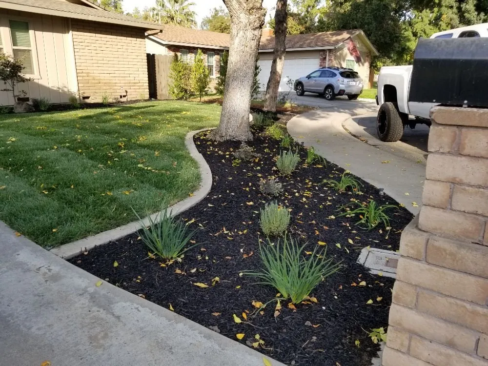 Custom landscape installation near you across Delhi, CA - ST Landscape Management