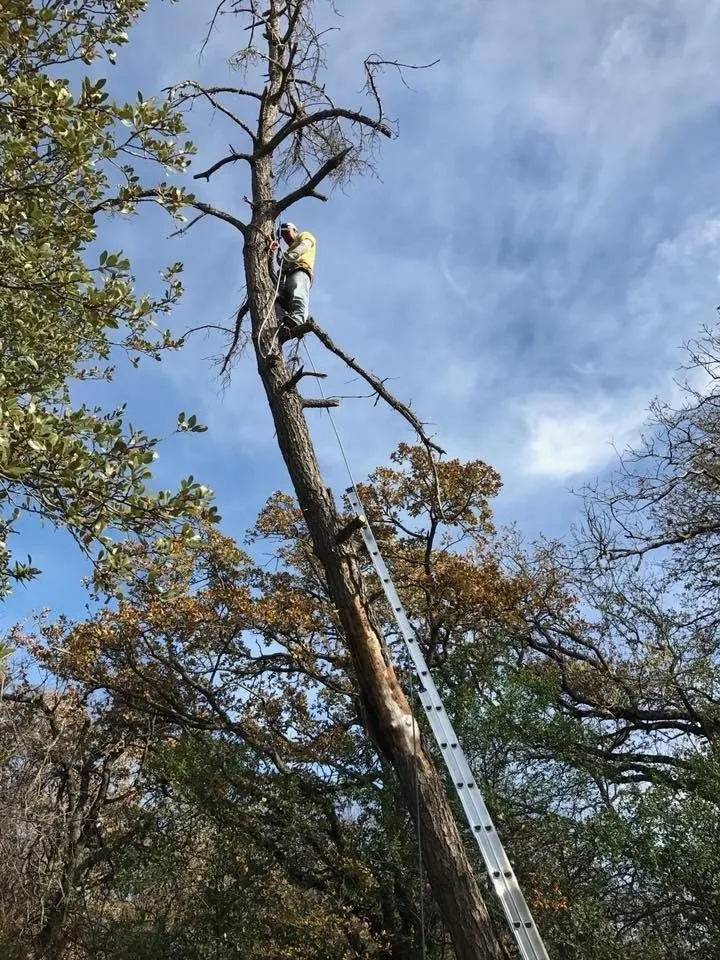 Reliable landscape installation in Mansfield, TX - S&T Landscape Services