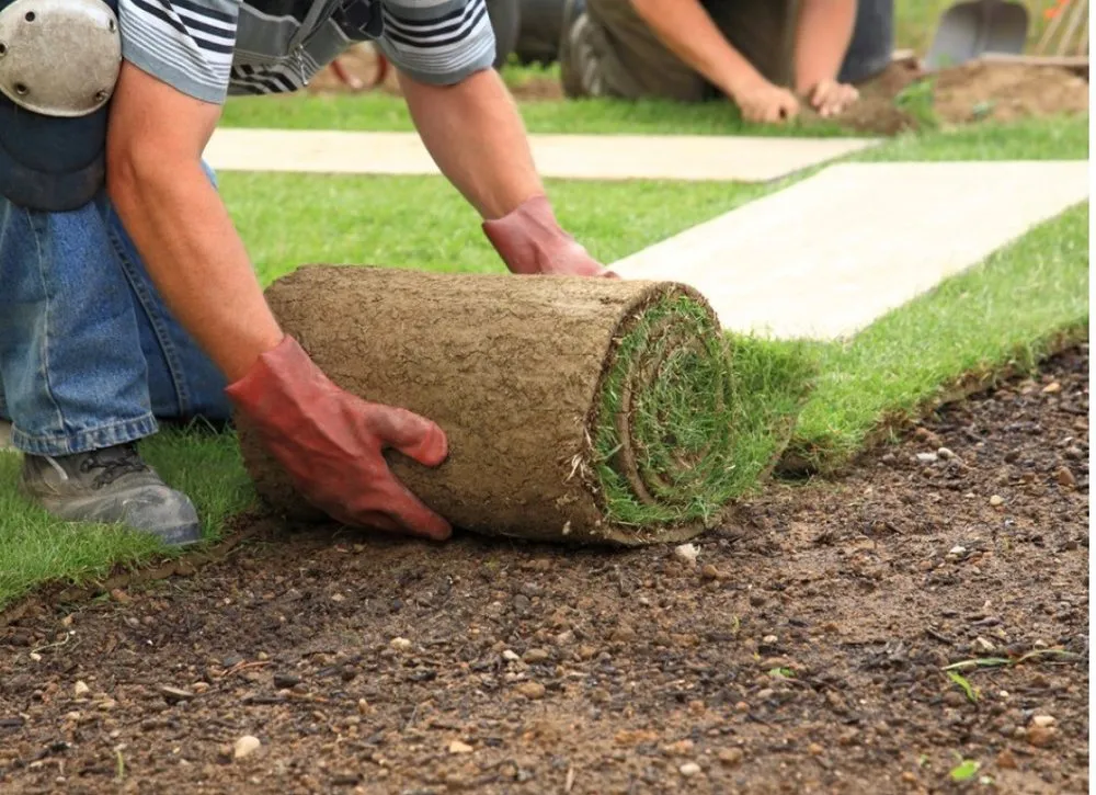 Trusted lawn mowing service for year-round maintenance across Mansfield, TX - S&T Landscape Services