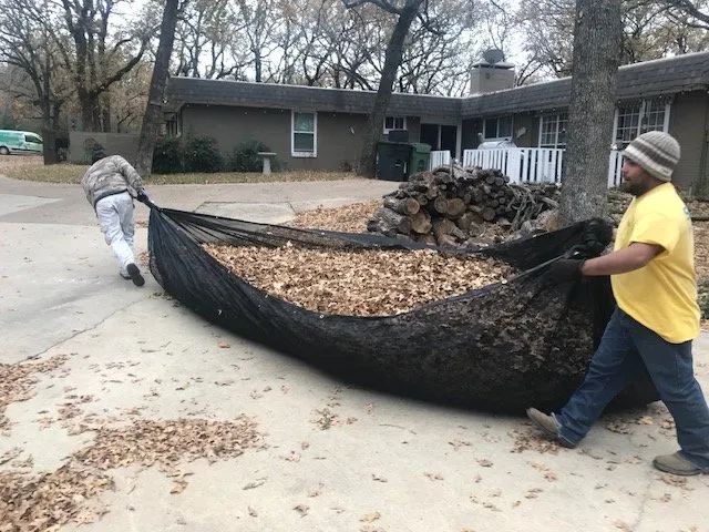 Custom yard cleanup service in Mansfield, TX - S&T Landscape Services
