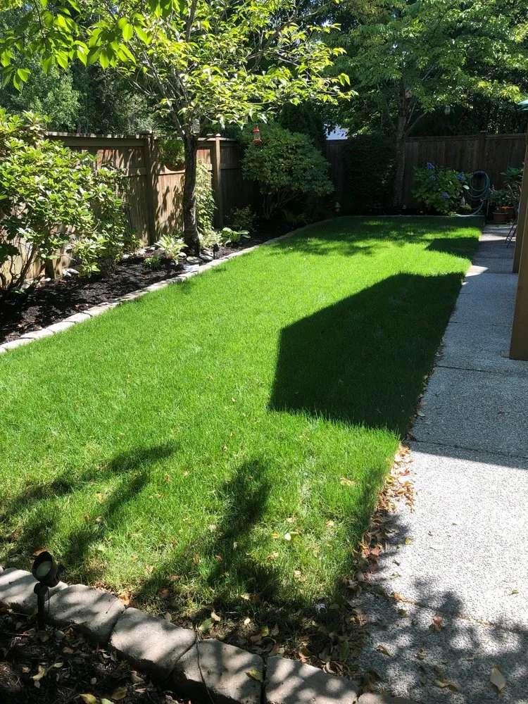 Trusted yard cleanup service in Mill Creek, WA by ST Landscaping