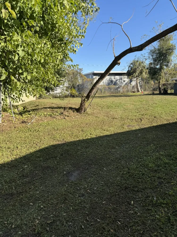 Professional lawn mowing service in Orlando, FL by S&T Landscaping Orishaoko’s Garden