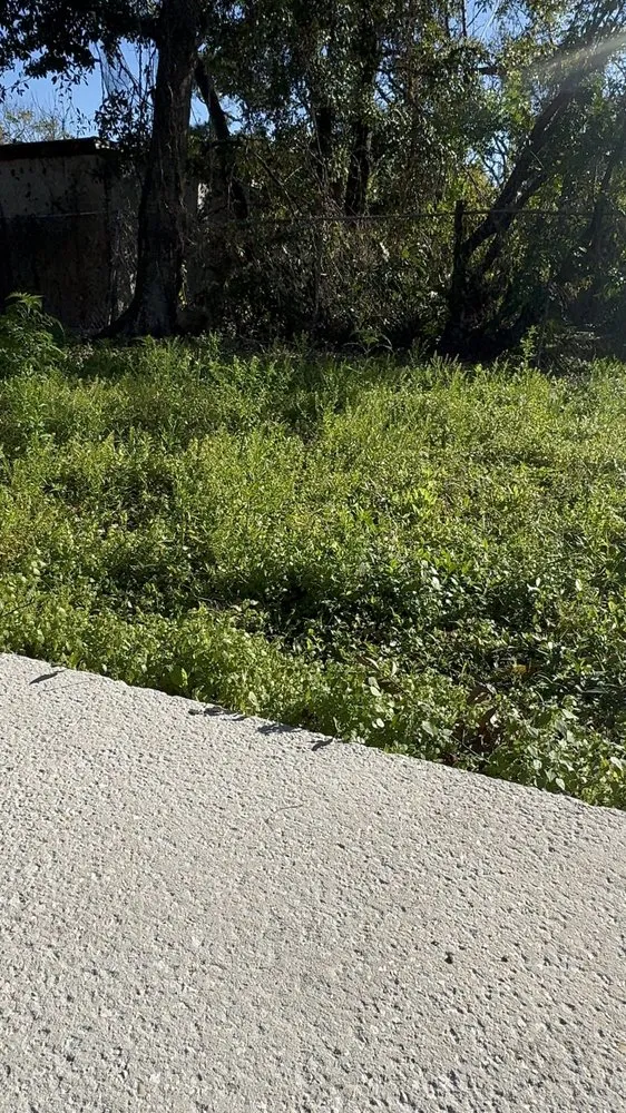 Expert garden landscaping near you across Orlando, FL - S&T Landscaping Orishaoko’s Garden