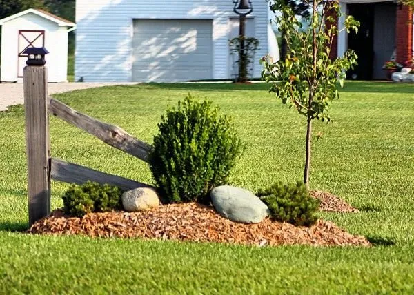 Trusted yard maintenance in Orlando, FL - S&T Landscaping Orishaoko’s Garden
