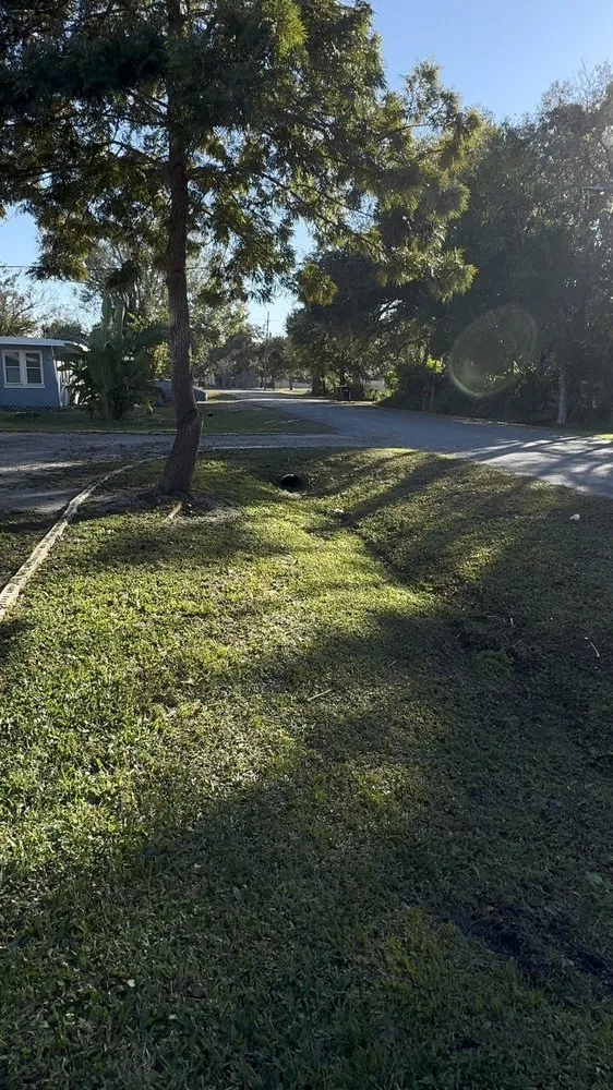 Trusted landscape installation near you across Orlando, FL - S&T Landscaping Orishaoko’s Garden