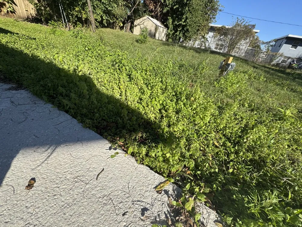 Custom residential landscaping in Orlando, FL - S&T Landscaping Orishaoko’s Garden