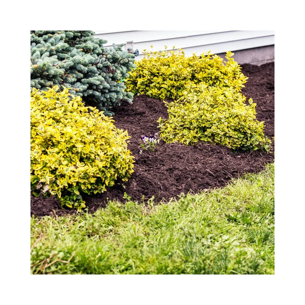 Local landscaping services in Salem, VA - ST Landscaping
