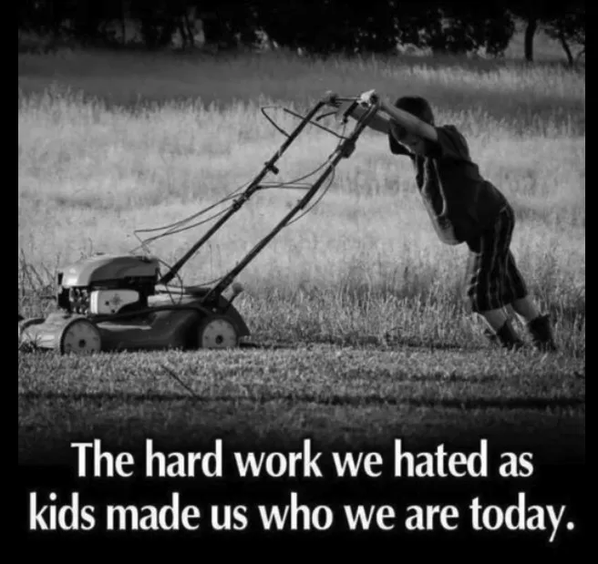 Affordable yard cleanup service near you across Salem, VA - ST Landscaping