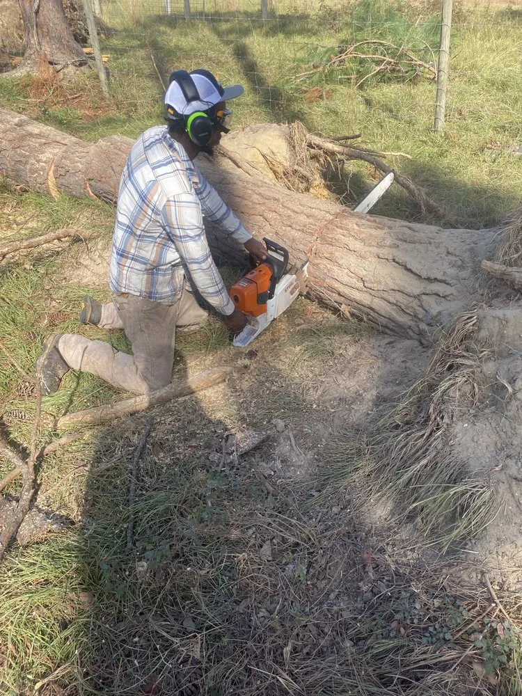 Local garden landscaping experts serving Uvalda, GA - S&T Landscaping