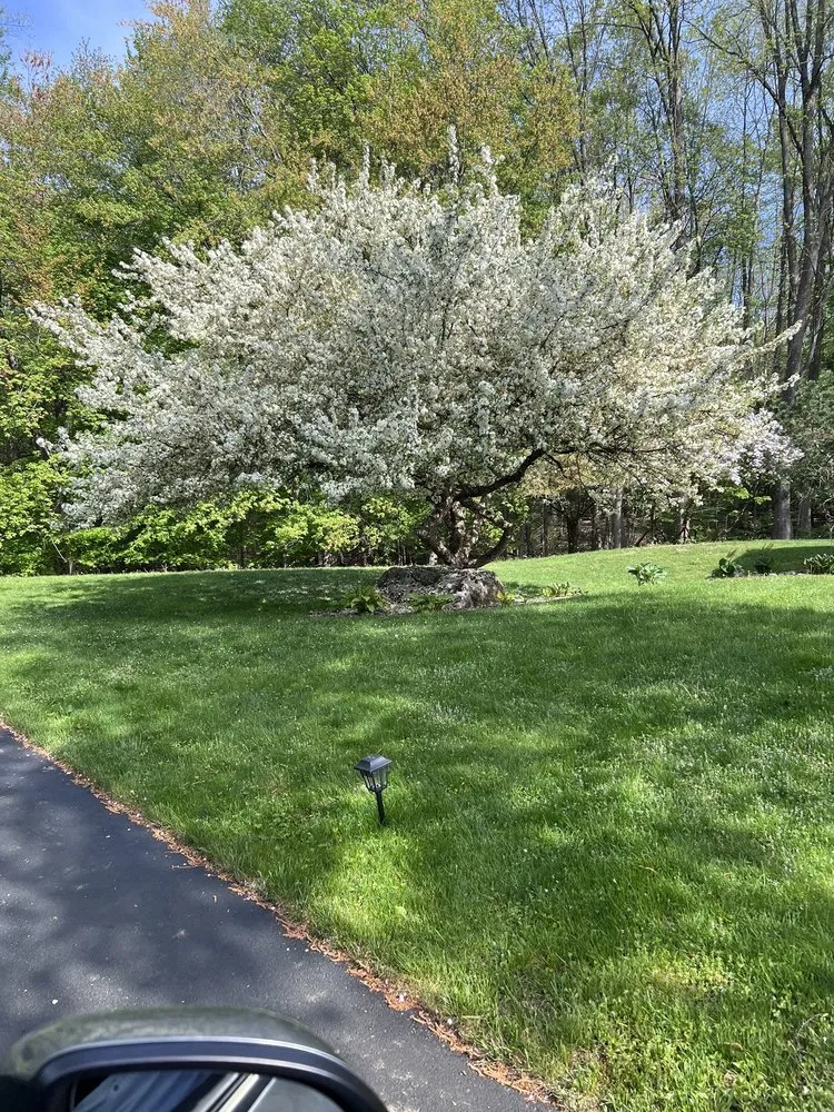 Reliable residential landscaping in Hudson, NH - St Laurent Property Maintenance