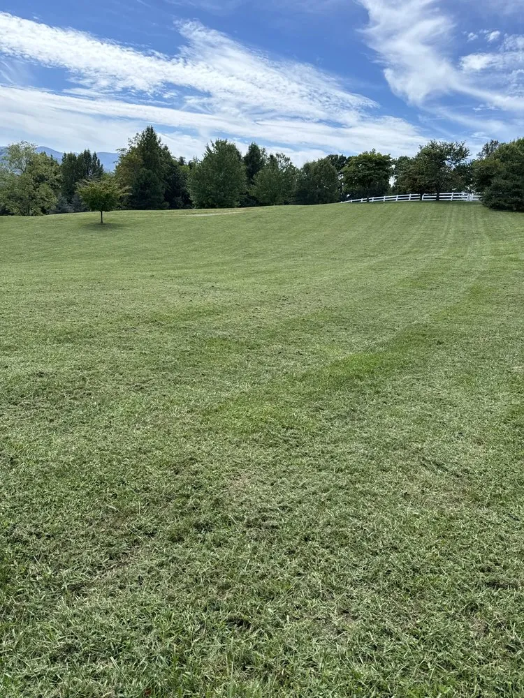 Top-rated landscaping services for homes across Buena Vista, VA - S&T Lawn Service