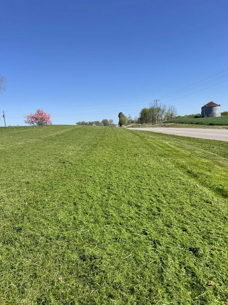 Expert landscaping services for beautiful yards across Russellville, KY - ST Lawn Services