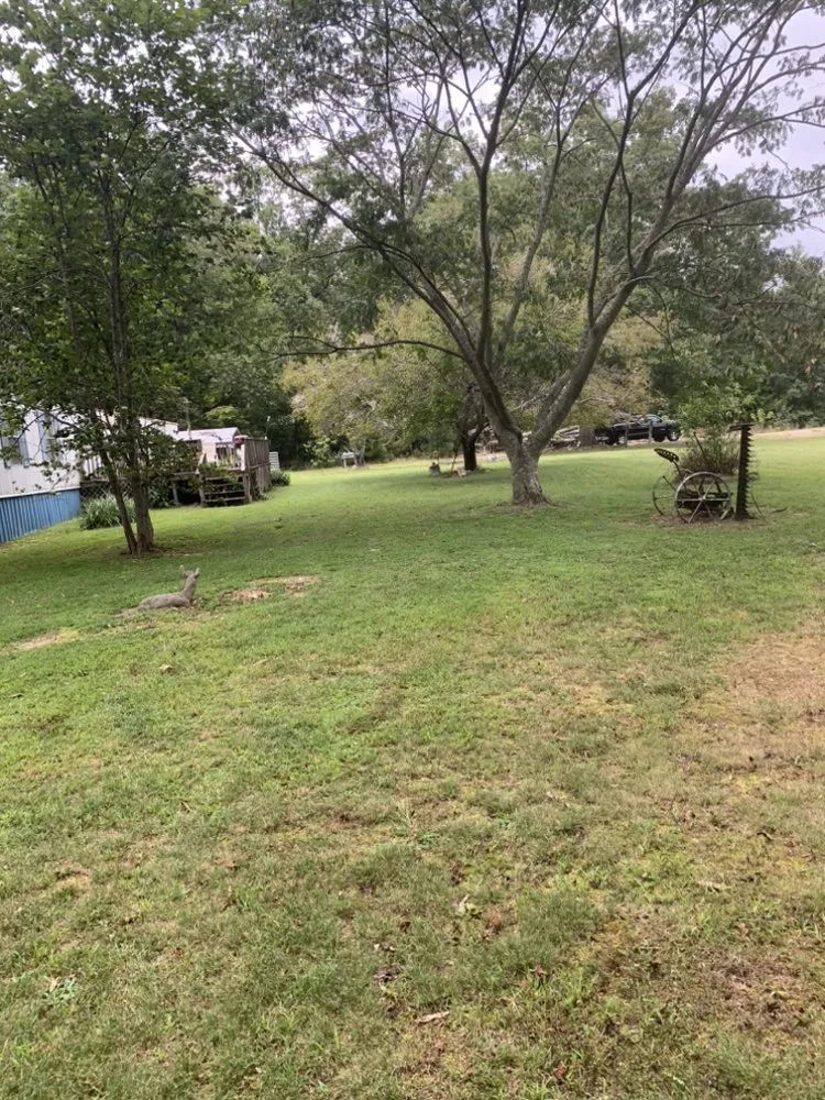 Affordable lawn care service experts serving Henderson, NC - S&T LawnCare