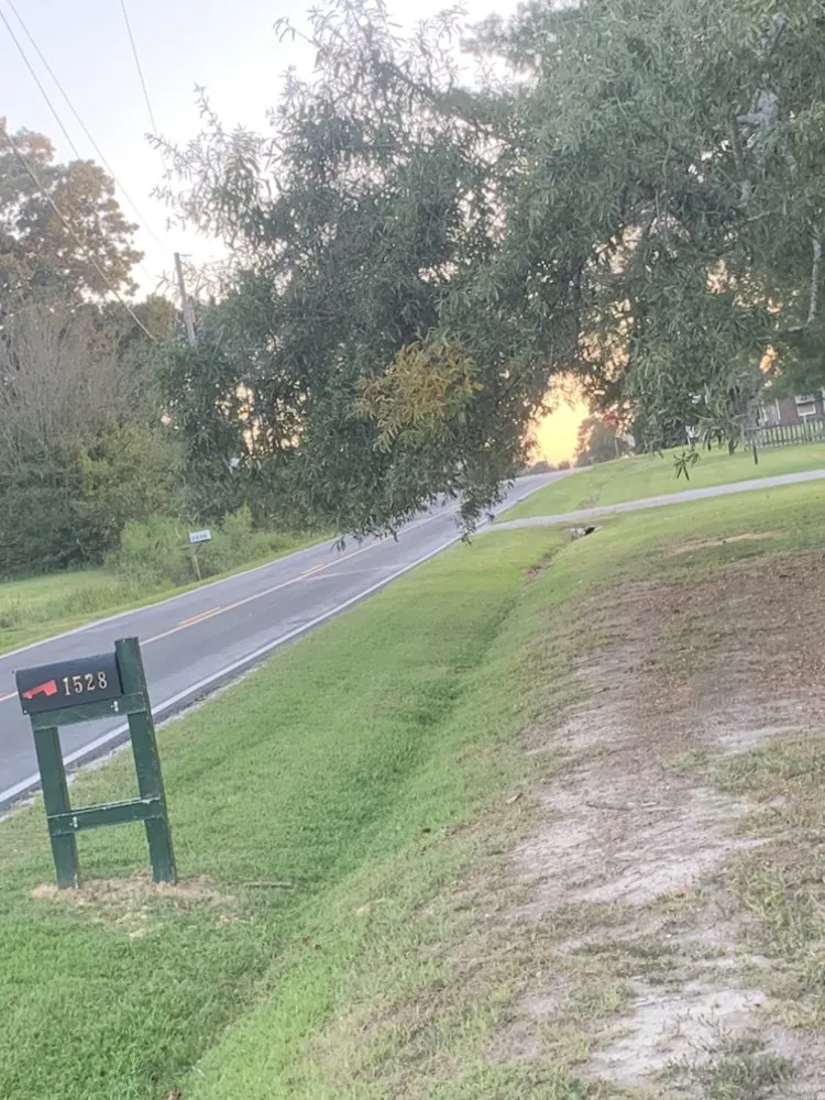 Reliable landscaping services experts serving Henderson, NC - S&T LawnCare