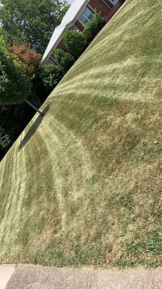 Custom residential landscaping in Kingsport, TN by S&T Lawncare