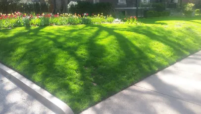 Reliable outdoor landscaping experts serving Brentwood, MO - St Louis Lawn Care Pro