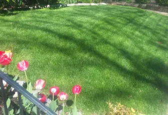 Professional lawn care service in Brentwood, MO by St Louis Lawn Care Pro