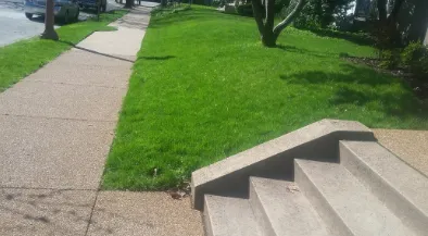 Reliable yard maintenance in Brentwood, MO - St Louis Lawn Care Pro