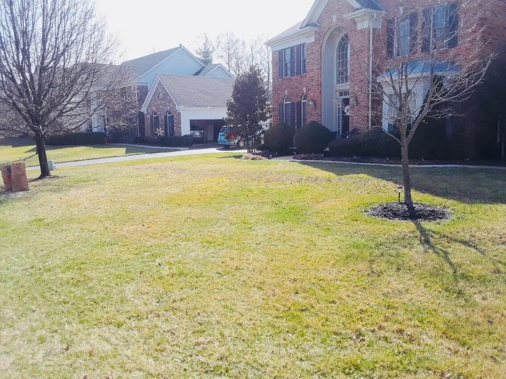 Local residential landscaping in St Louis, MO by St Louis Leaf Removal
