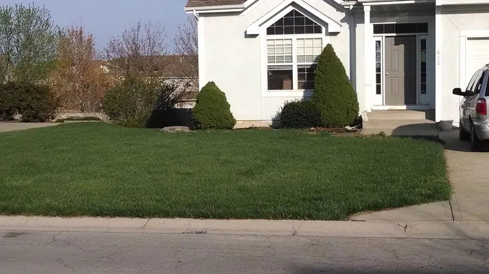 Expert landscaping services in Saint Louis, MO by St Louis Pro Turf & Pro Pest Solutions