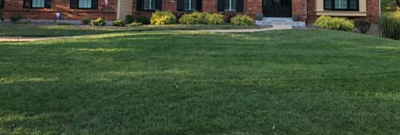 Affordable landscape installation in Saint Louis, MO - St Louis Pro Turf & Pro Pest Solutions