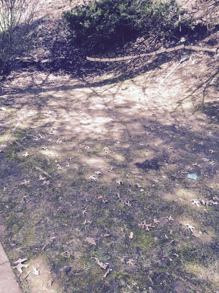 Reliable garden landscaping in Saint Louis, MO by St Louis Pro Turf & Pro Pest Solutions