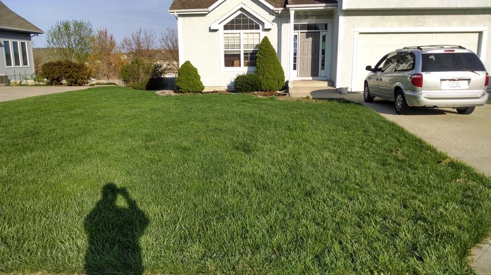 Top-rated landscaping services experts serving Saint Louis, MO - St Louis Pro Turf & Pro Pest Solutions