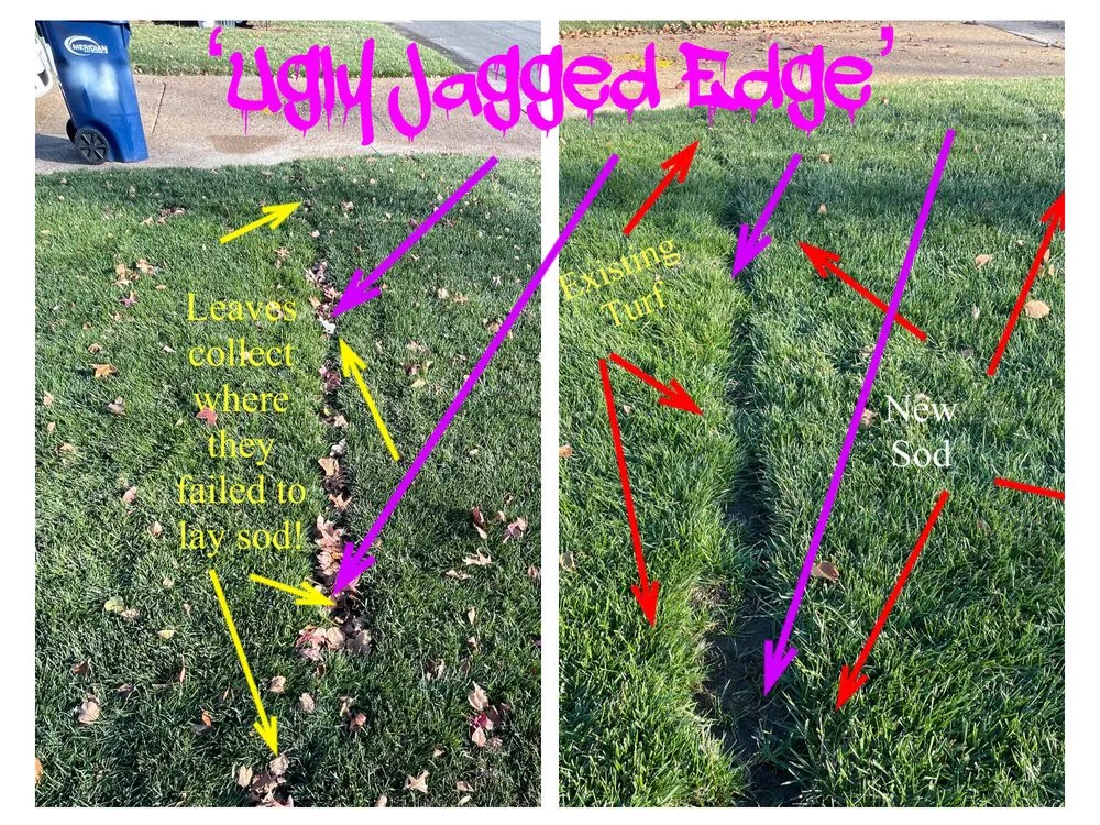 Expert garden landscaping in Fenton, MO by St Louis Sod Install