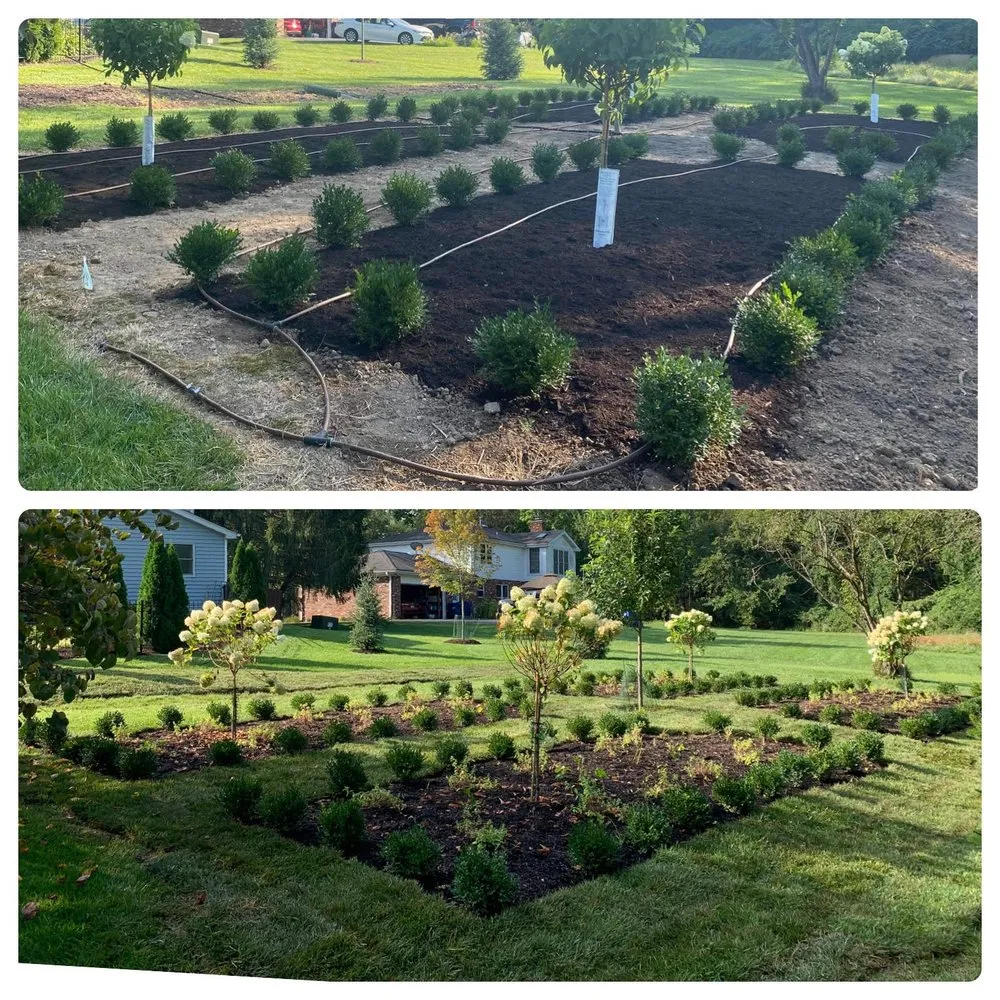 Reliable yard maintenance with custom design in Fenton, MO by St Louis Sod Install
