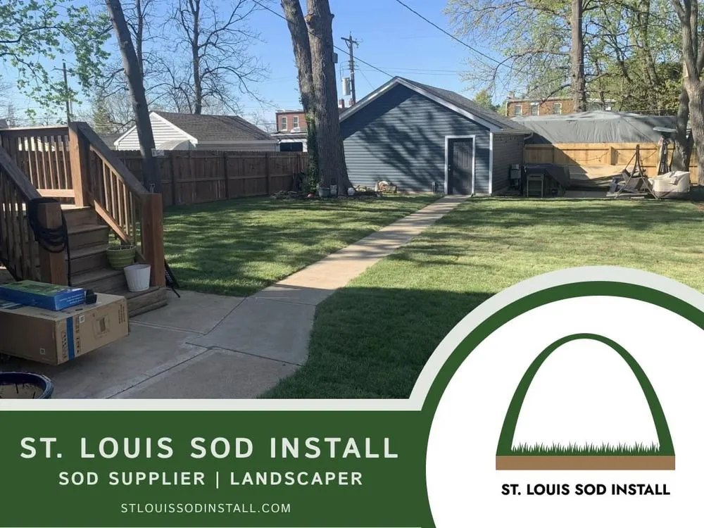 Top-rated yard maintenance in Fenton, MO - St Louis Sod Install
