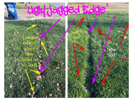 St Louis Sod Install Logo