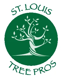 Trusted yard cleanup service for residential properties across Valley Park, MO - St. Louis Tree Pros