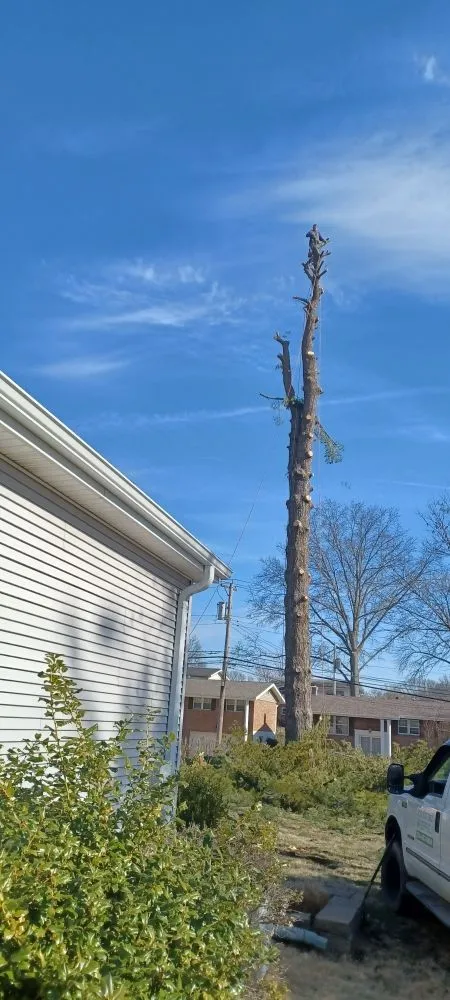 Trusted yard maintenance for beautiful yards across Robertsville, MO - St Louis Tree