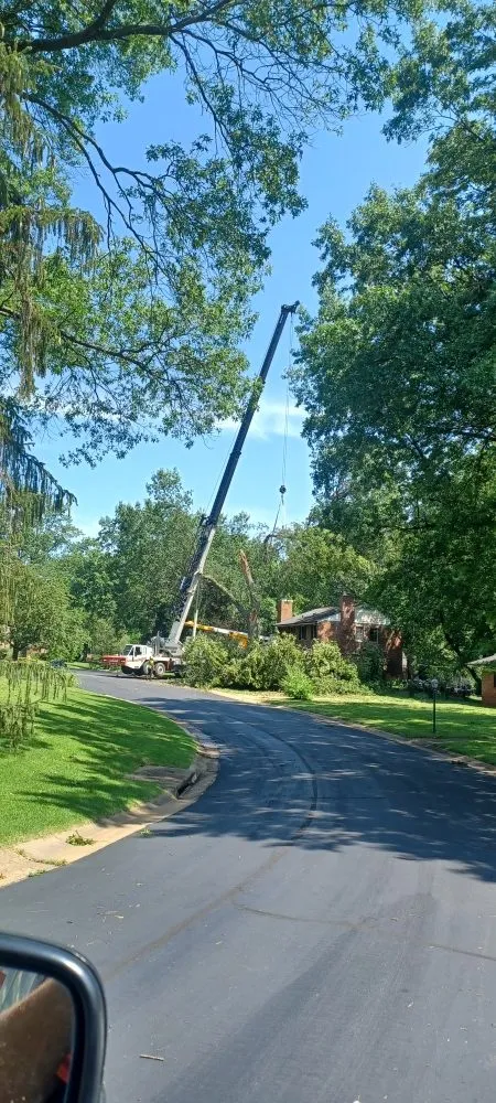 Reliable lawn care service in Robertsville, MO by St Louis Tree