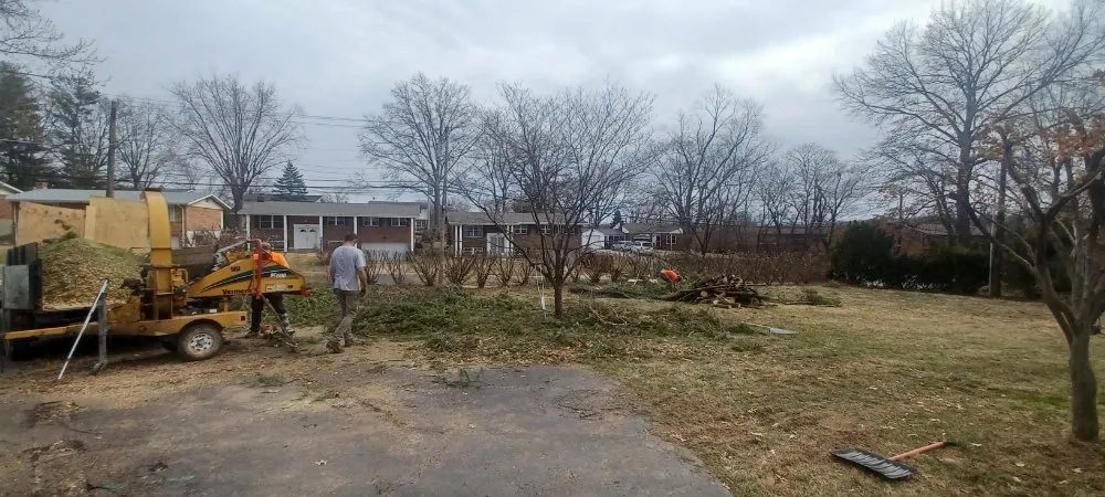 Top-rated garden landscaping in Robertsville, MO - St Louis Tree