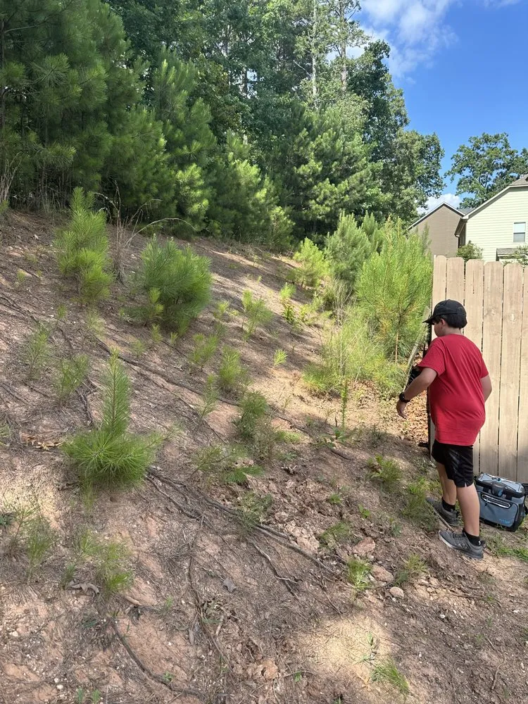 Local lawn care service in Woodstock, GA by S&T Odd Job Services