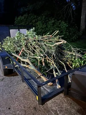 S&T Odd Job Services Logo