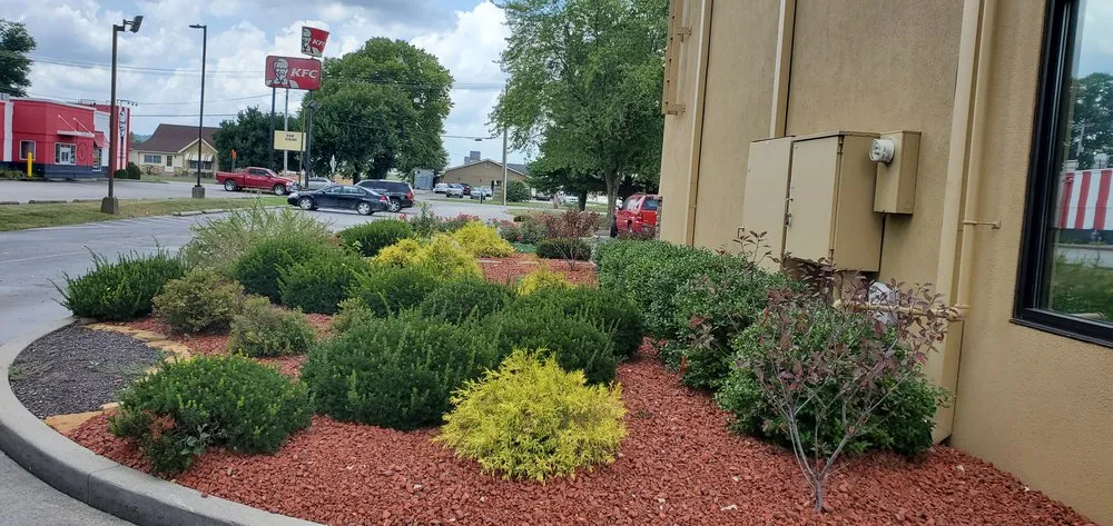 Custom yard cleanup service for homes in Martinsville, IN by S&T OutDoors Solutions