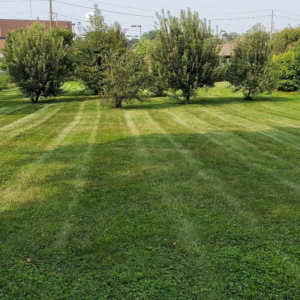 Affordable yard maintenance for beautiful yards across Martinsville, IN - S&T OutDoors Solutions
