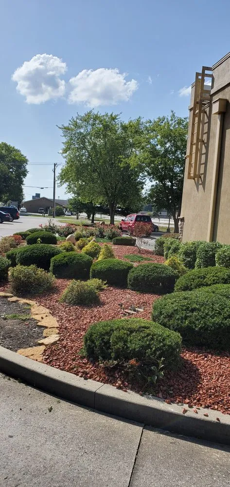 Expert yard cleanup service in Martinsville, IN by S&T OutDoors Solutions