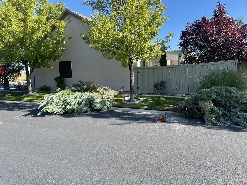 Top-rated landscape installation experts serving Fernley, NV - St. Patrick Landscape