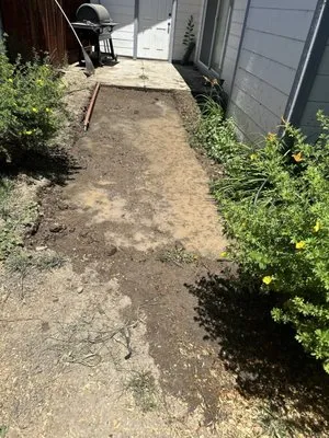 St. Patrick Landscape