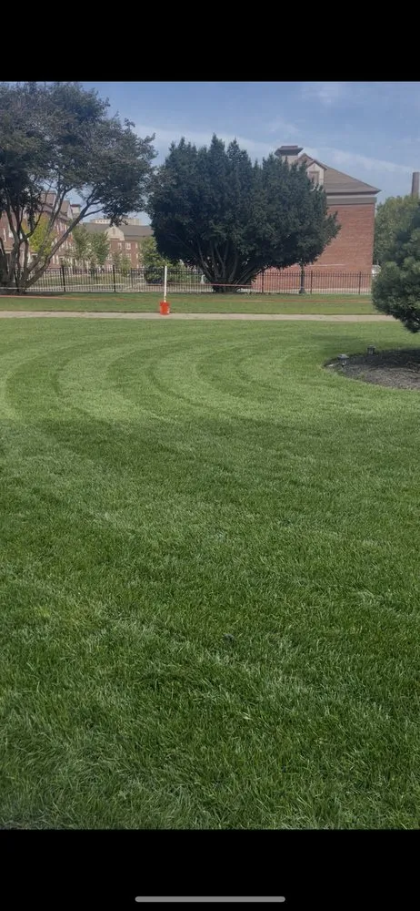 Top-rated residential landscaping with custom design in Lowell, MA by St Patrick Landscaping