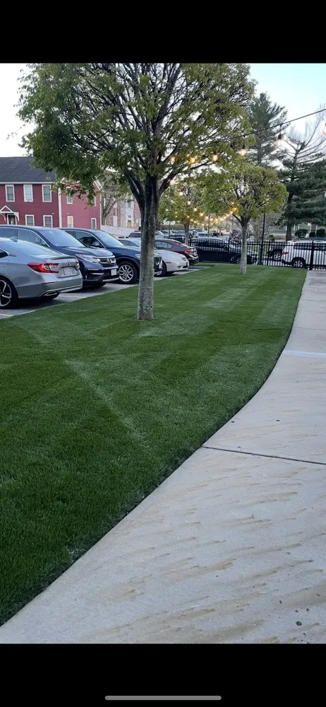 Trusted lawn mowing service in Lowell, MA by St Patrick Landscaping