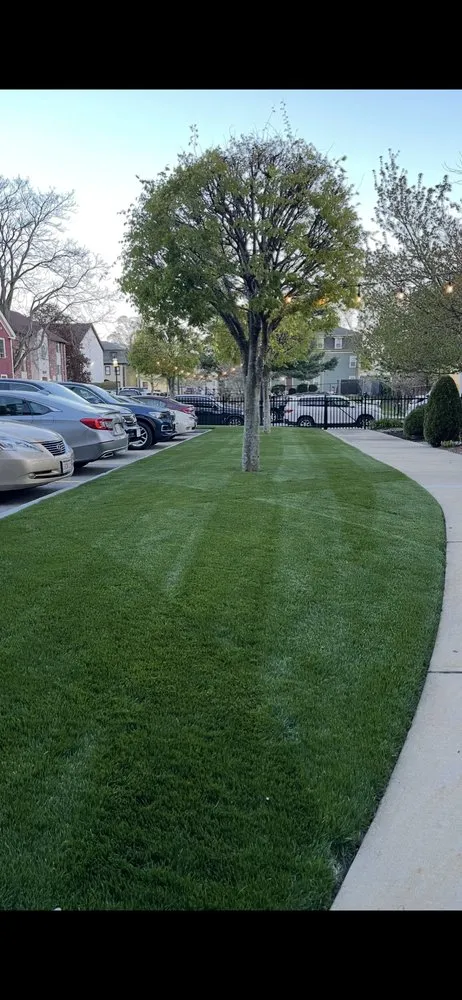 Local yard maintenance in Lowell, MA - St Patrick Landscaping