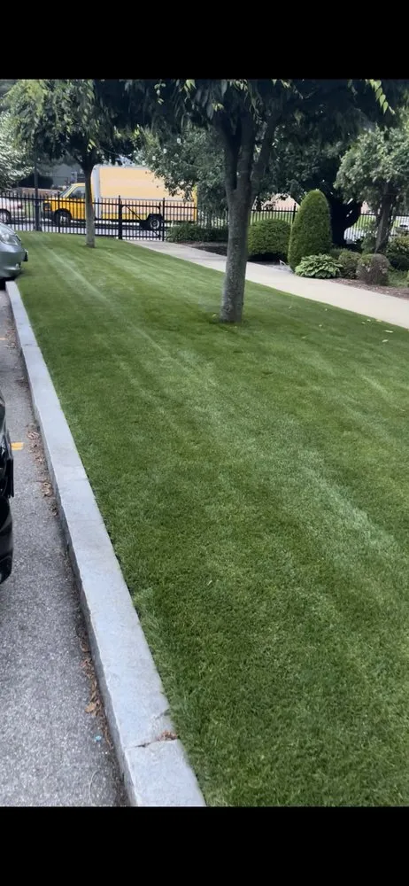 Expert landscape installation for year-round maintenance across Lowell, MA - St Patrick Landscaping